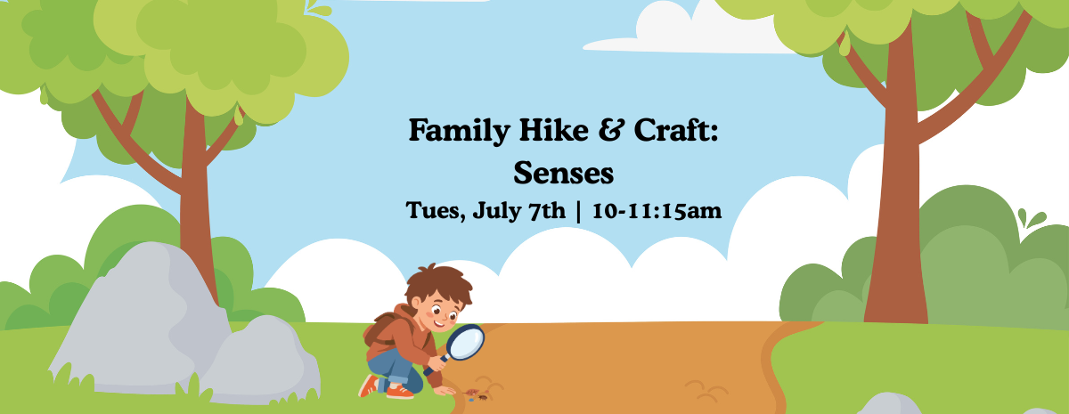 Family Hike & Craft: Senses